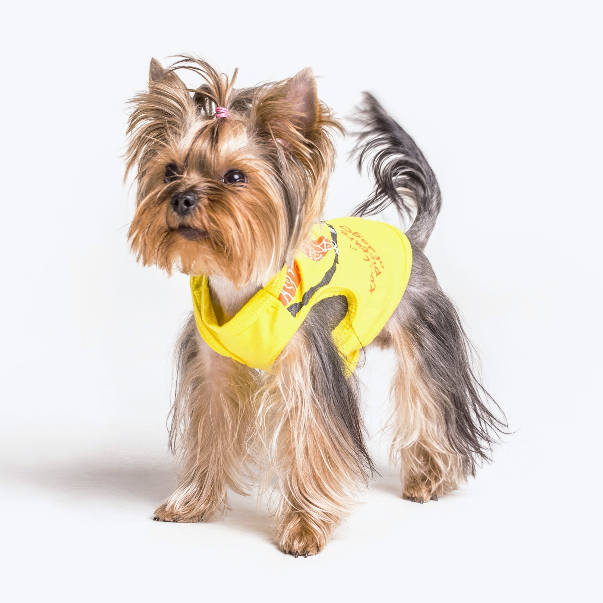 Waterproof yellow suit for small breeds of dogs minionthemevertical
