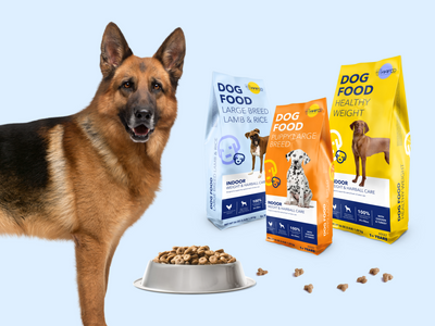Everything you need to know about dog’s nutrition 🍗