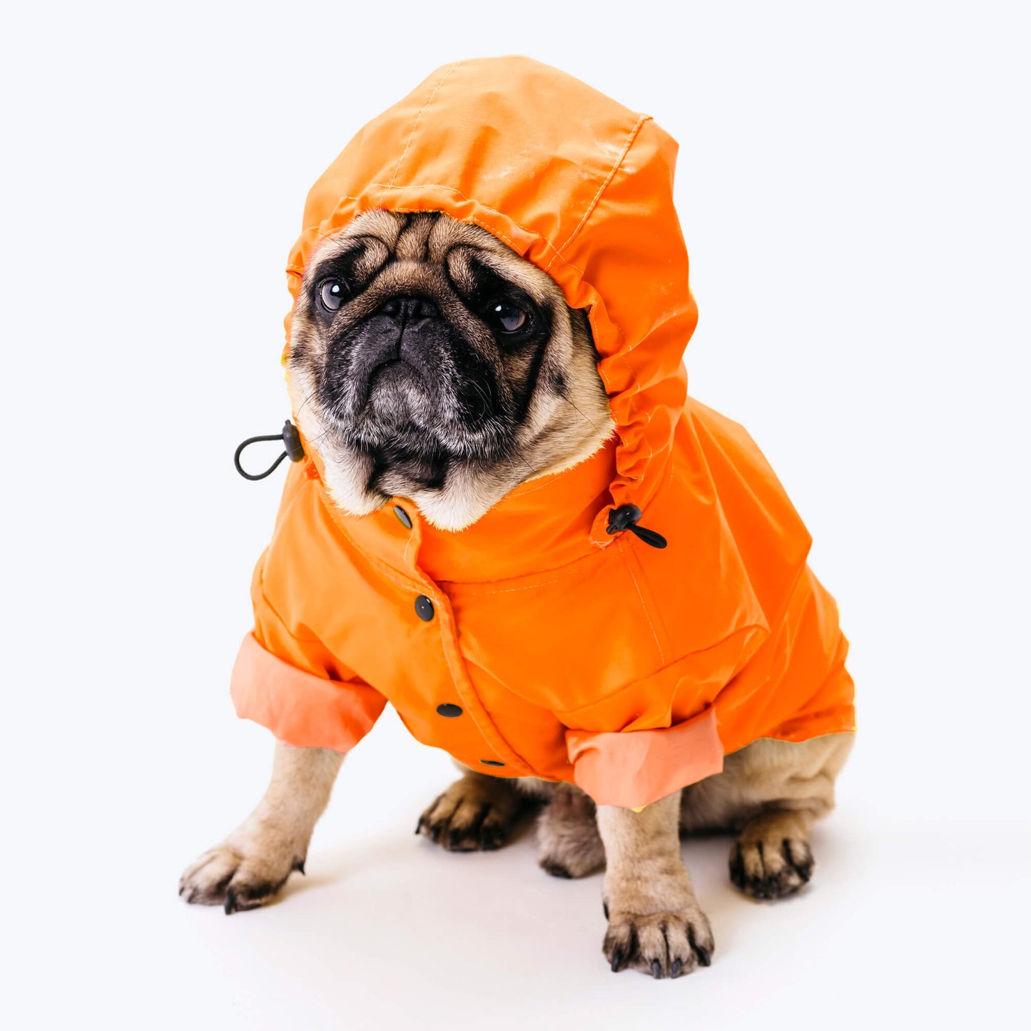 Waterproof dog suit