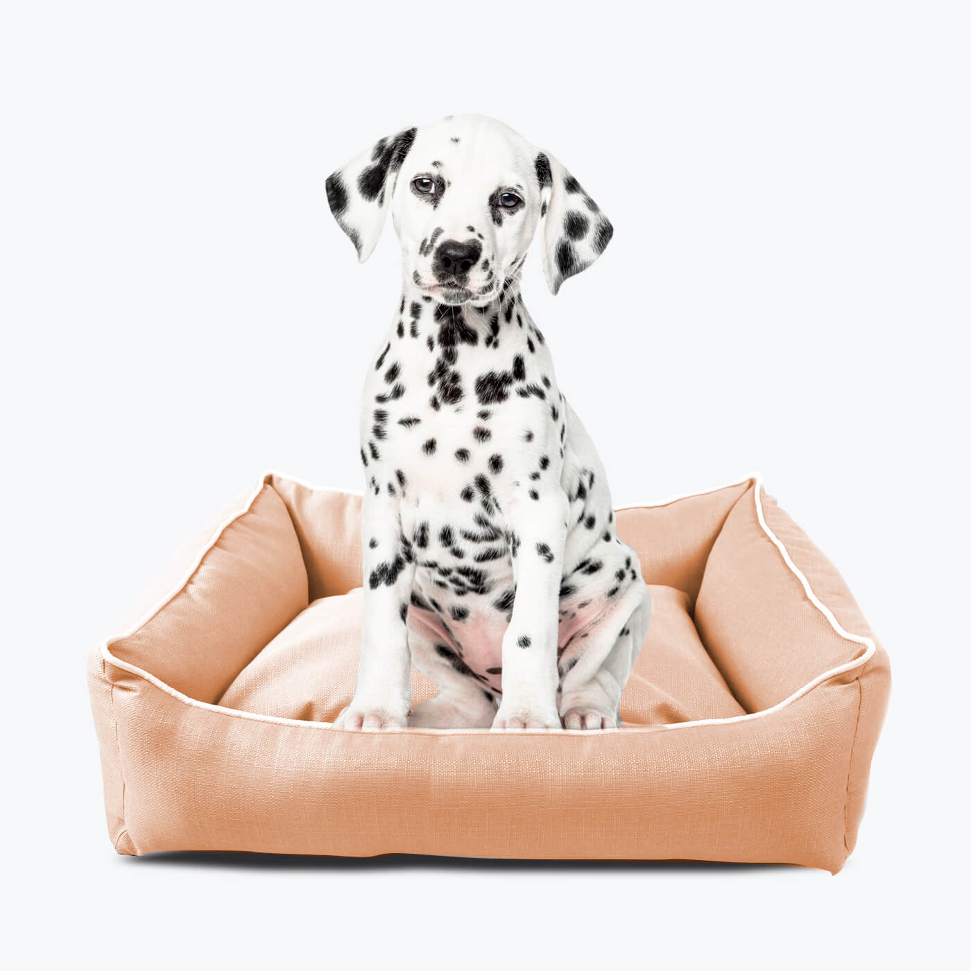 Orthopedic dog bed