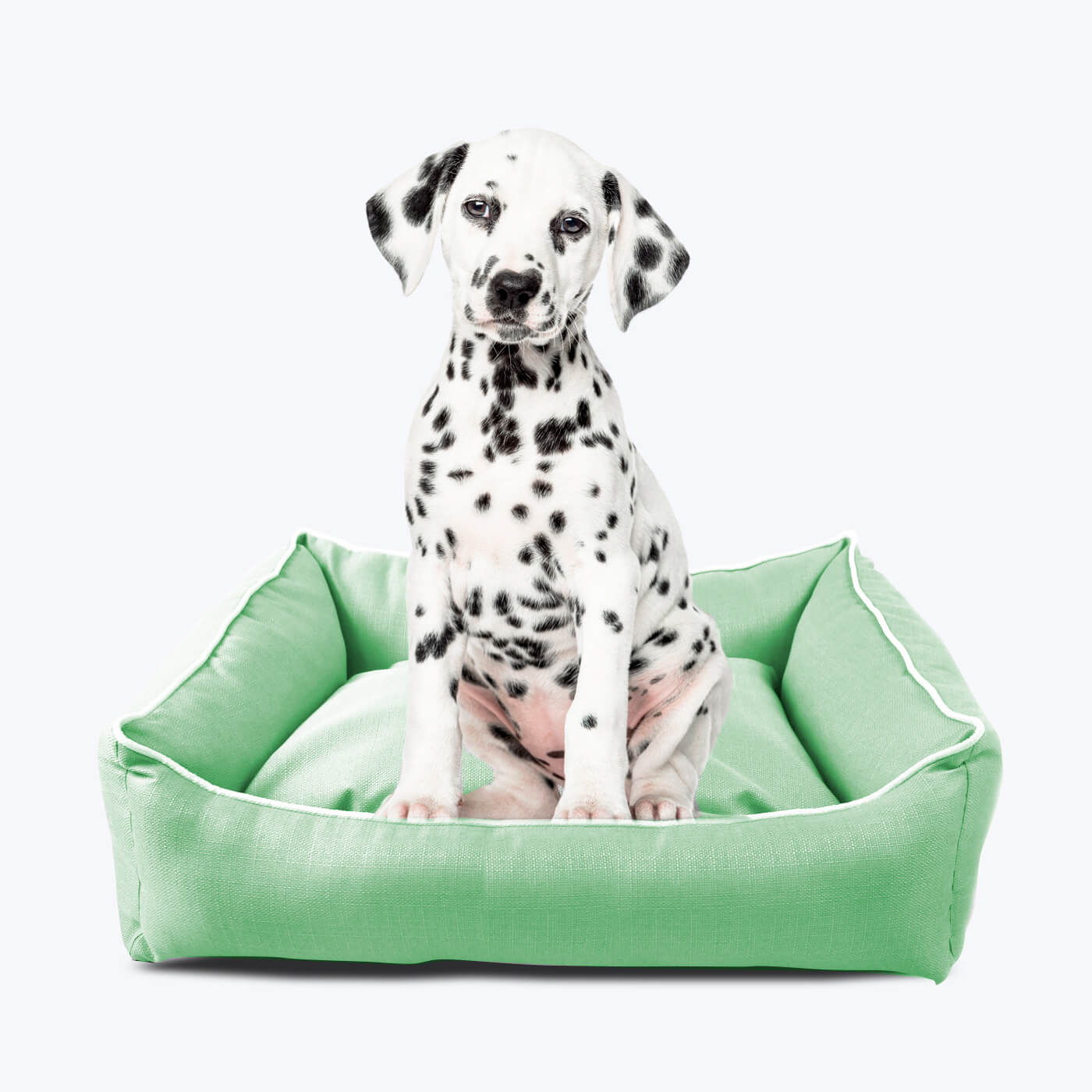 Orthopedic dog bed minion theme vertical