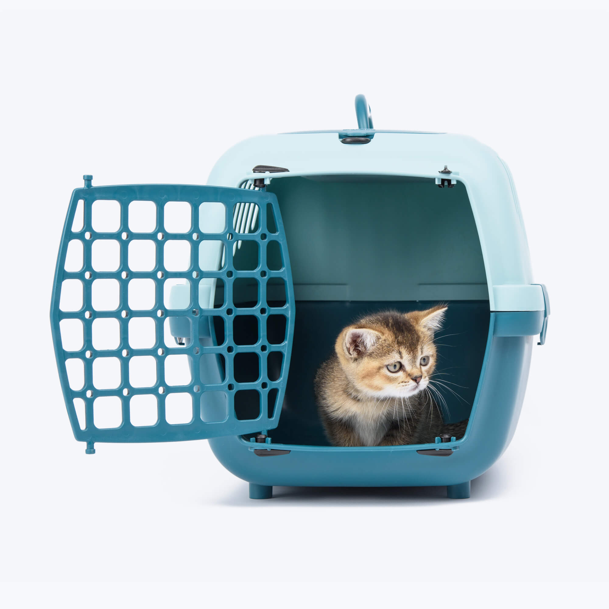 Large plastic carrier cage for cats and dogs minion theme vertical