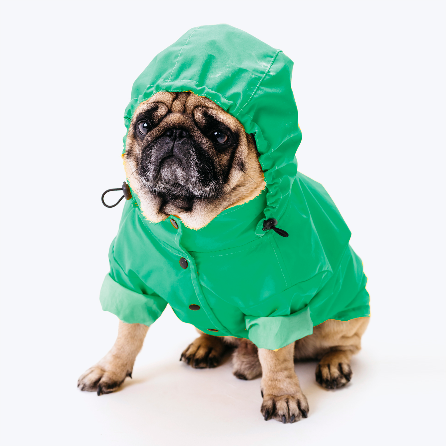 Waterproof dog suit