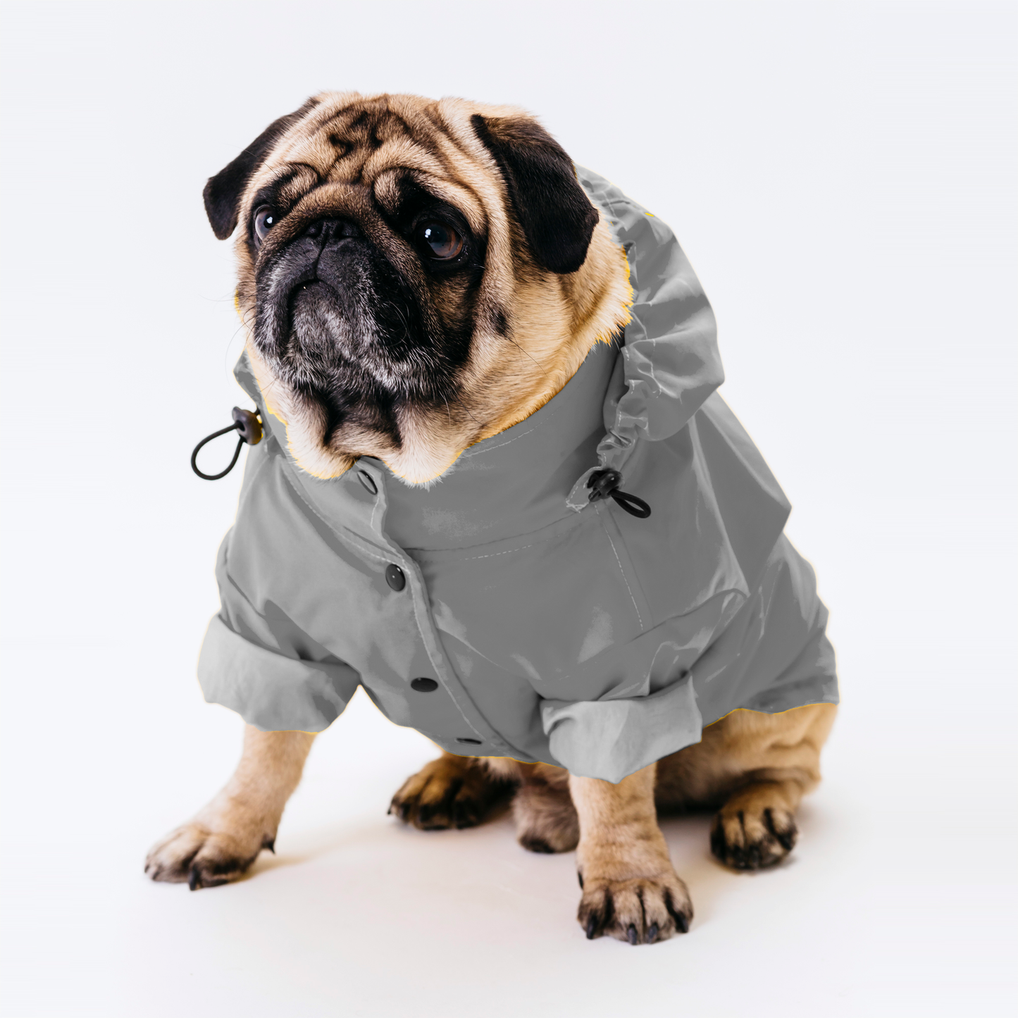 Waterproof dog suit
