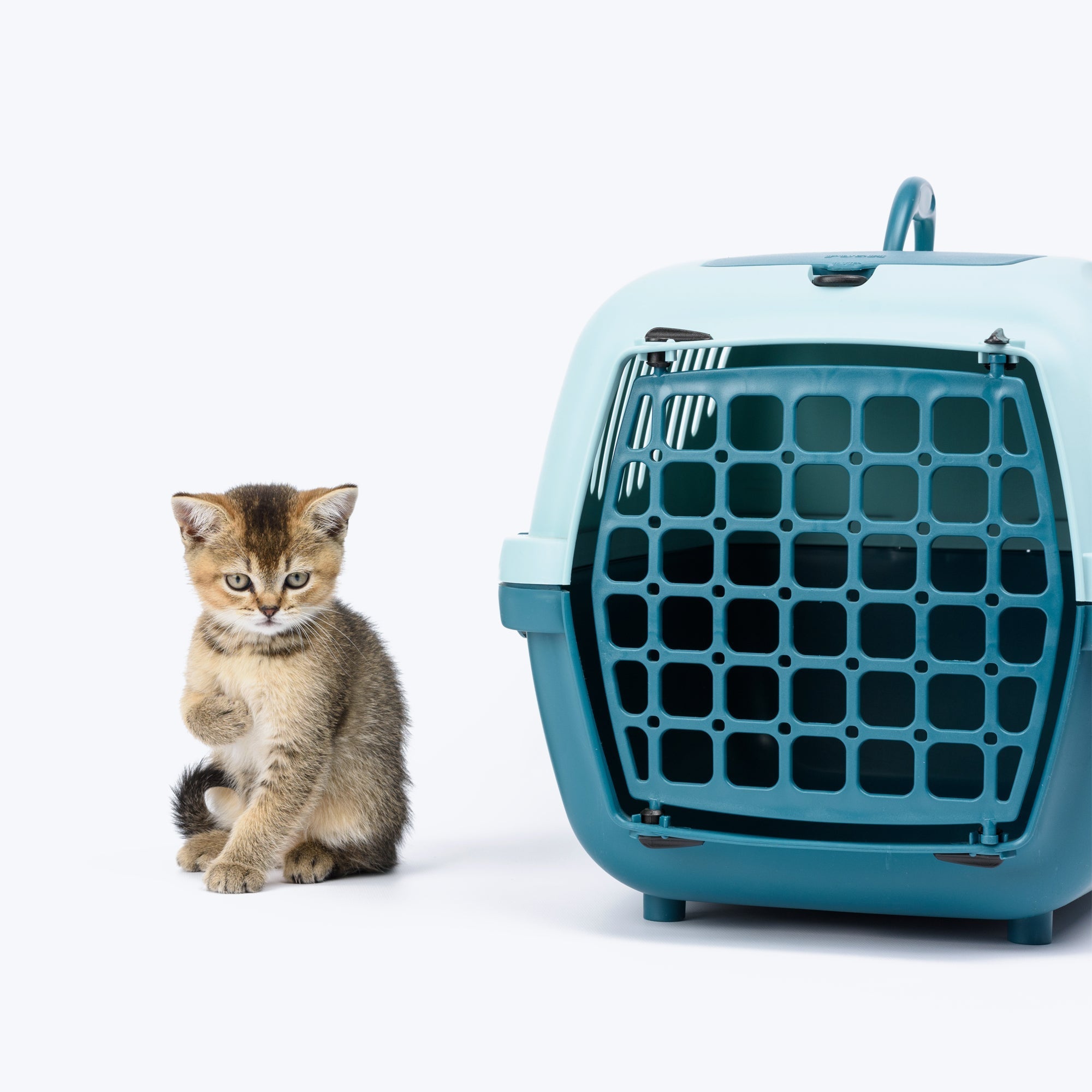 Plastic cat clearance cage